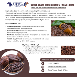 cocoa-beans-flyer