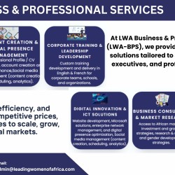 professional-services-1